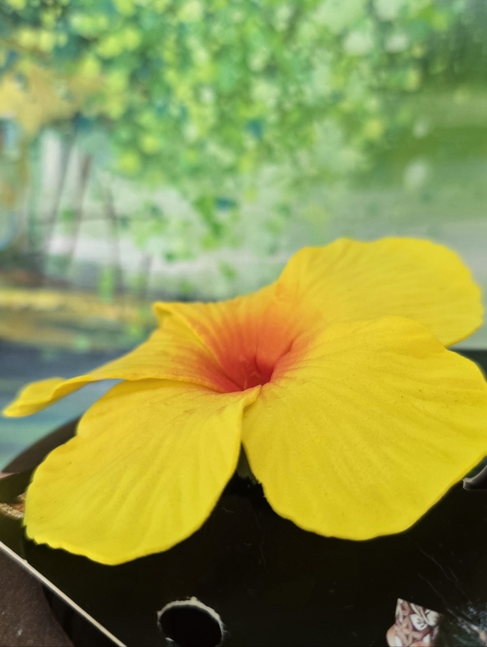 Realistic Hibiscus Hawaiian Silver Metal Snap Hair Clip